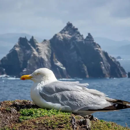 Atlantic Отель типа 